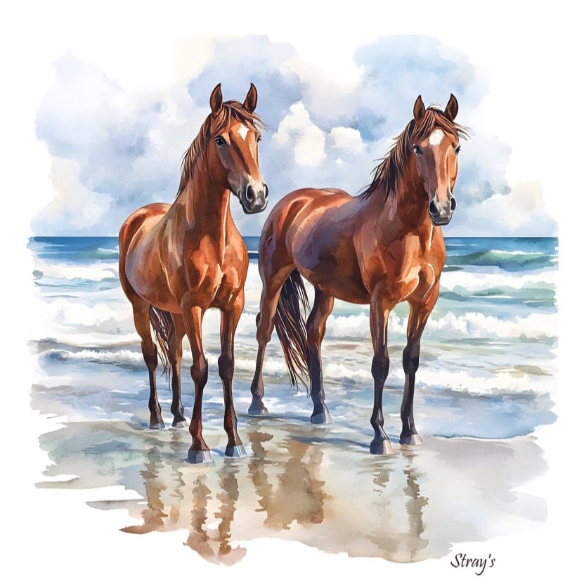 Strays Creations Sea Shells