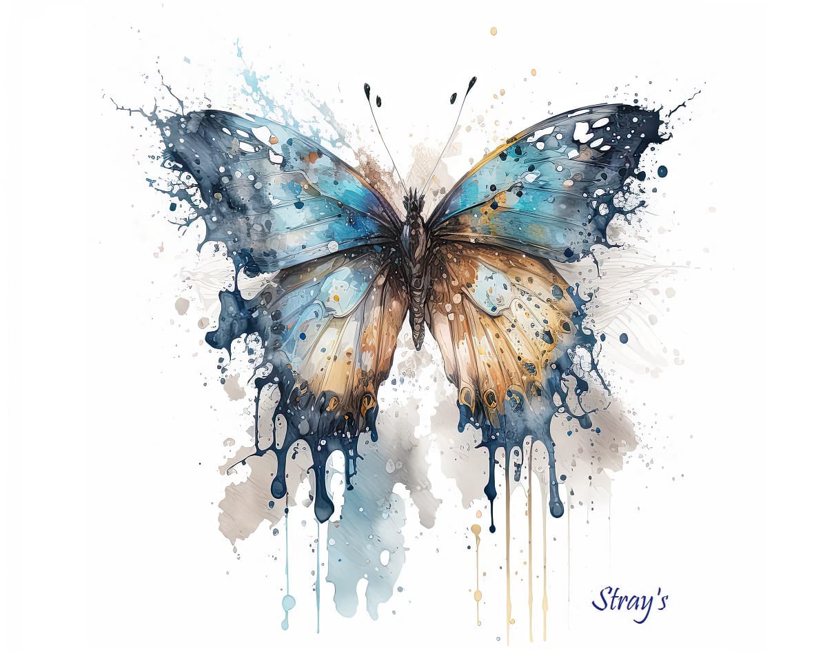 Strays Creations Sea Shells